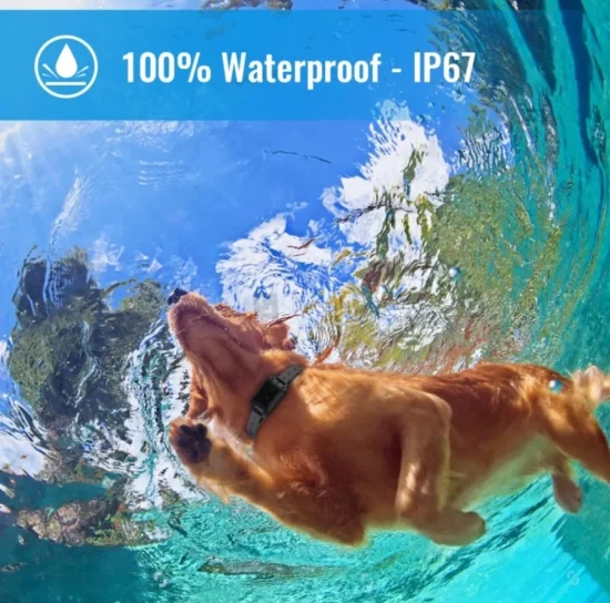Електронни нашийници Електронен нашийник - водоустойчив телетакт с презареждаеми литиевойонни батерии за обучение на едно куче с обхват до 350м.