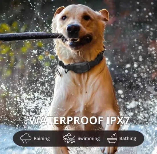 Електронни нашийници Електронен нашийник DK-325 за обучение на кучета със звук, вибрация и ток