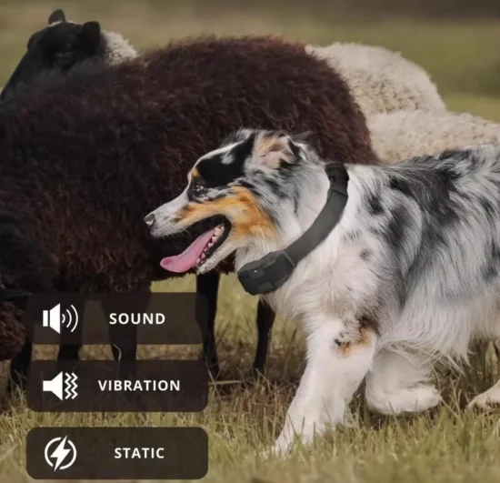 Електронни нашийници Електронен нашийник DK-325 за обучение на кучета със звук, вибрация и ток