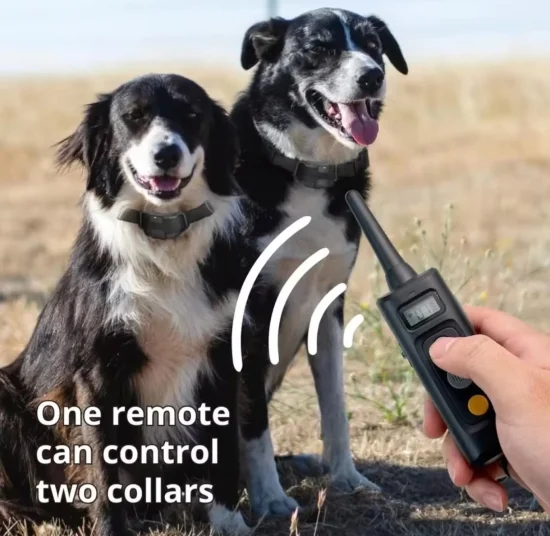 Електронни нашийници Електронен нашийник DK-325 за обучение на кучета със звук, вибрация и ток