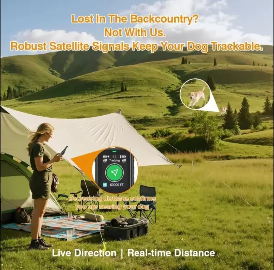 Електронни нашийници 3 в 1-GPS, електронен нашийник и електронна ограда